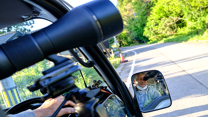 Registro de Toki en Asia 