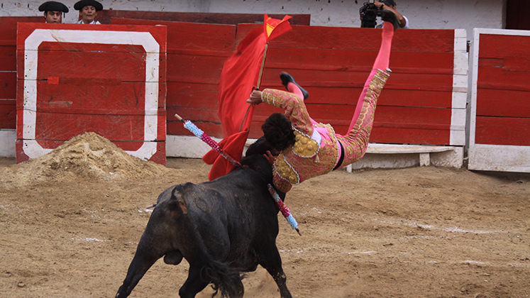 Toros en Cúcuta