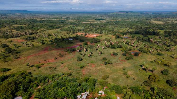 Protección de áreas ambientales