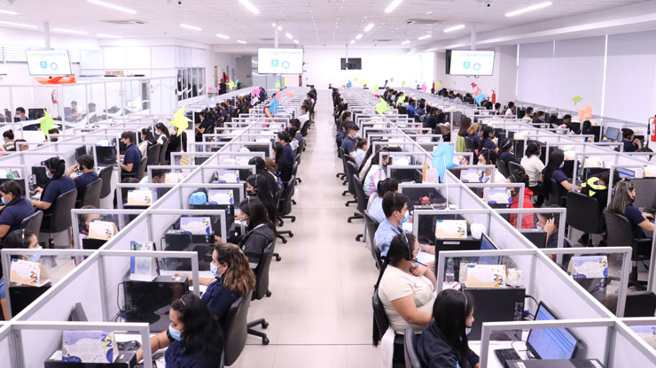 Trabajo en Guasimales