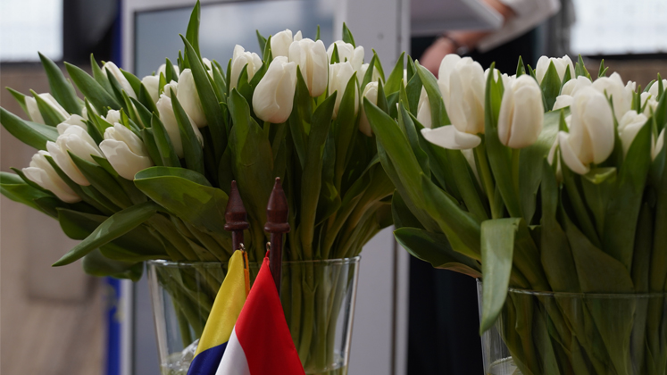 Colombia y Países Bajos bautizan nueva variedad de tulipán por bicentenario de relaciones