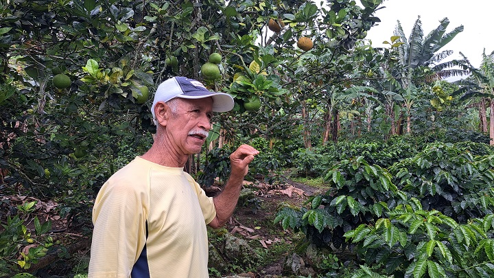 Valerio Galeano vende semillas de alta calidad de la variedad Monte Claro.
