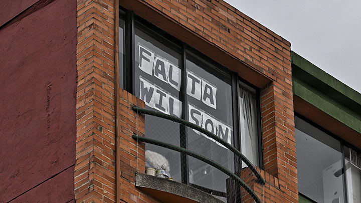 Wilson, perro rescatista 