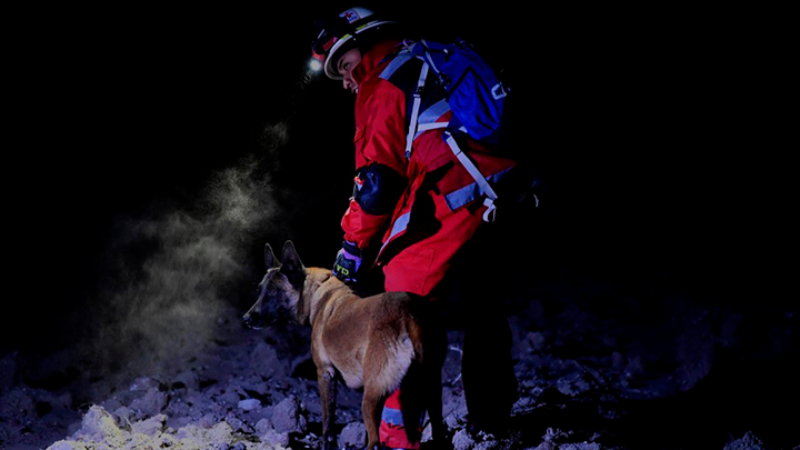 ¡Perros que salvan vidas! Así es el entrenamiento de caninos en México