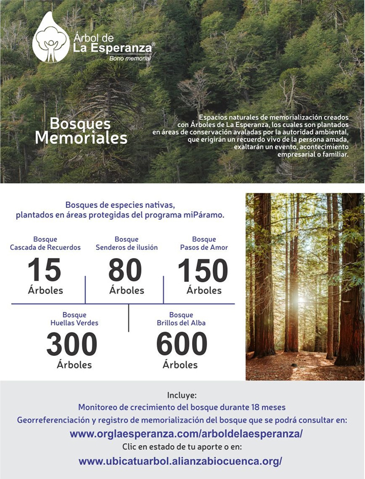 Árbol de la esperanza