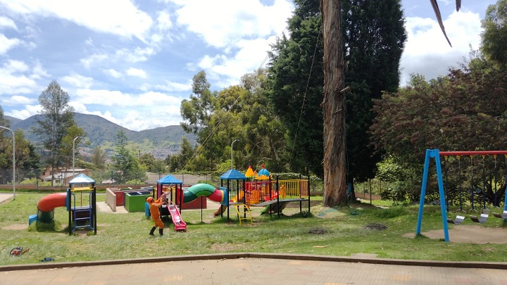 ¿Hubo tala indiscriminada de árboles en Pamplona?/Foto: cortesía