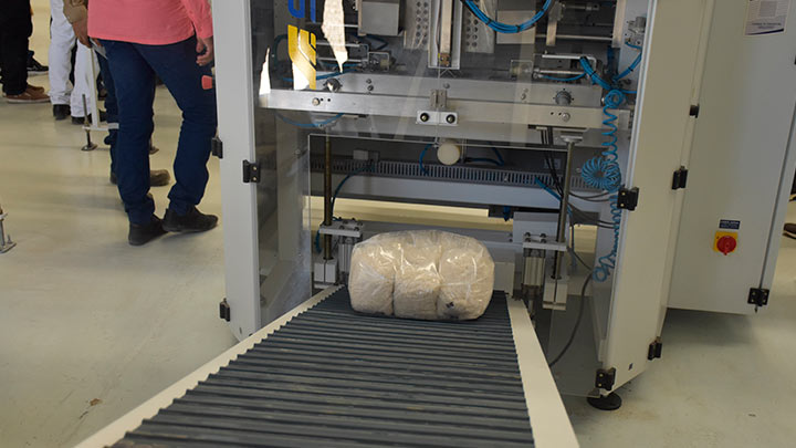 Los precios del arroz para el productor se mantuvieron estables este año./Foto Archivo