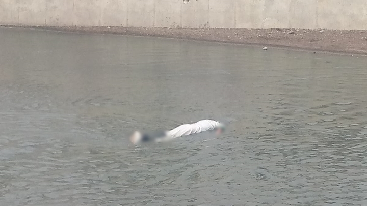Cadáver en el agua picha