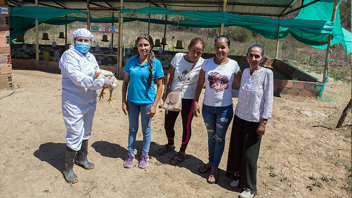 Las mujeres aseguran que la competencia contra grandes avícolas no les permite tener una buen participación en el mercado. otos Juan Pablo Cohen/La Opinión