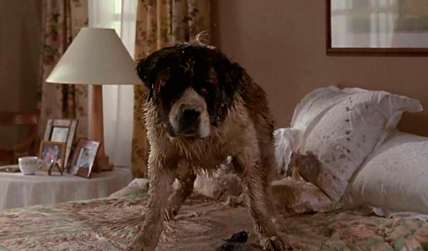 Uno más de la familia