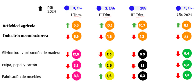 Tasas de crecimiento PIB 2024 para algunos sectores y subsectores. Elaborado por Fedemaderas con datos del DANE.