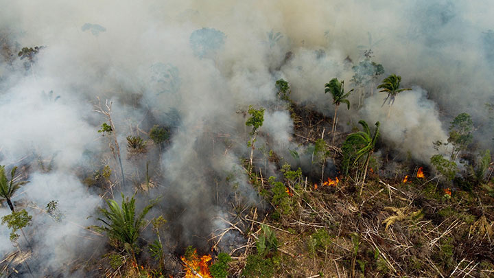 Si no luchamos por la Amazonía, "nadie dice nada", clama líder indígena./Foto: AFP