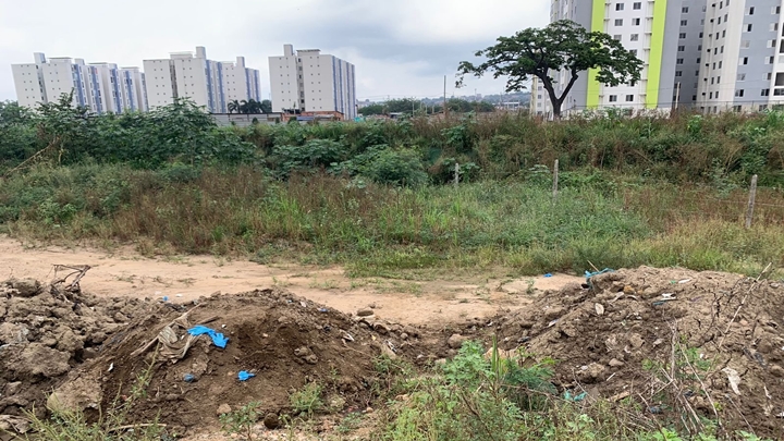 En este lote fue donde encontraron a la mujer muerta