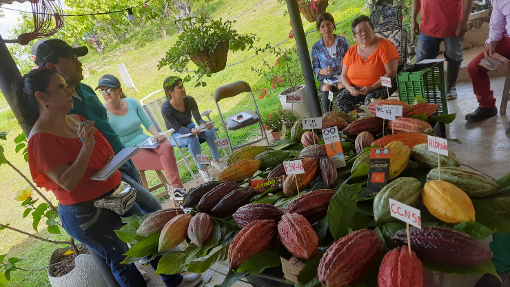 Cargill, a través de su negoció de Proteína Latinoamérica, ha contribuido con las mujeres cacaoteras de Rionegro, pertenecientes a la Asociación VEN FUTURO