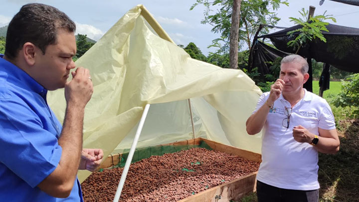 Apoyarán a cacaoteros restituidos con espacios en mercados campesinos./Foto: cortesía