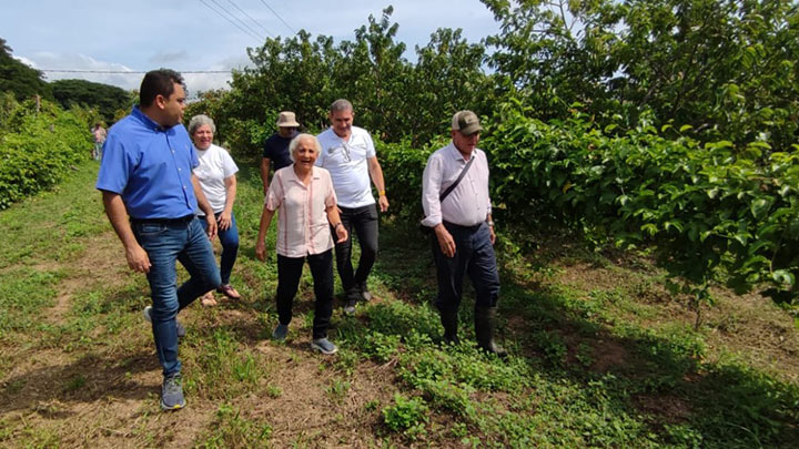 Apoyarán a cacaoteros restituidos con espacios en mercados campesinos./Foto: cortesía