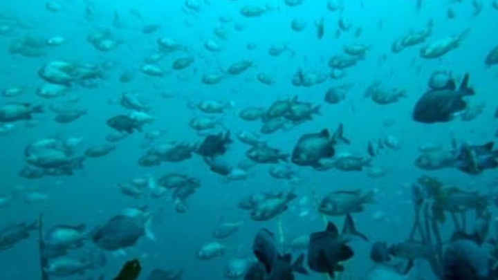 Área protegida en Chile