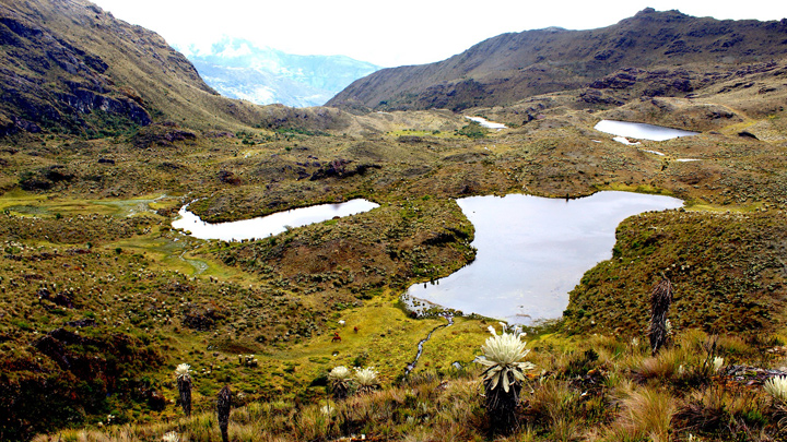 Complejo Lagunar./Foto: Facebook Primer Encuentro Regional de Caminantes ‘Guardianes del Páramo’