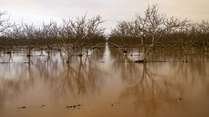 Diluvio en California./Foto: AFP