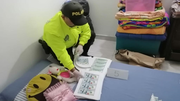 Incautaron casi medio millón de dólares falsos