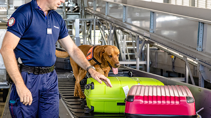 Europa registró un récord de incautaciones en 2021./Foto: AFP