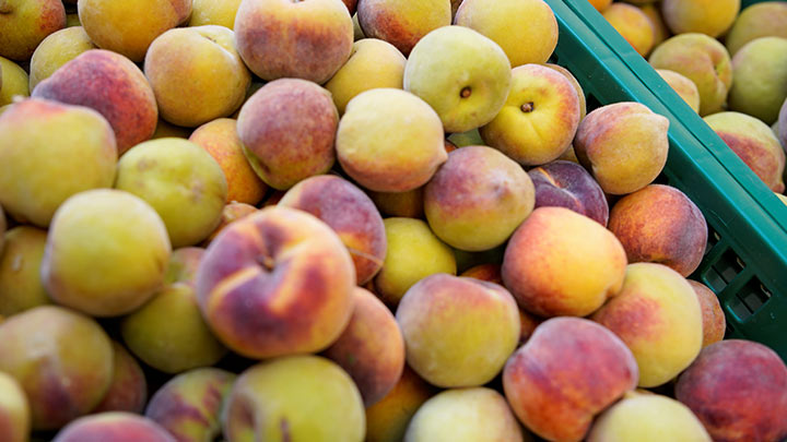 Una tonelada de duraznos compró el gobernador para damnificados./Foto: cortesía