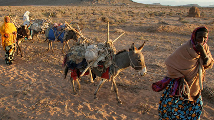 La alimentación bajo amenaza por los desastres climáticos./Foto: Acnur