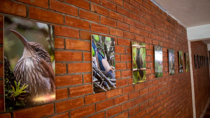 La exposición estará abierta hasta el 31 de diciembre. / Foto: Cortesía