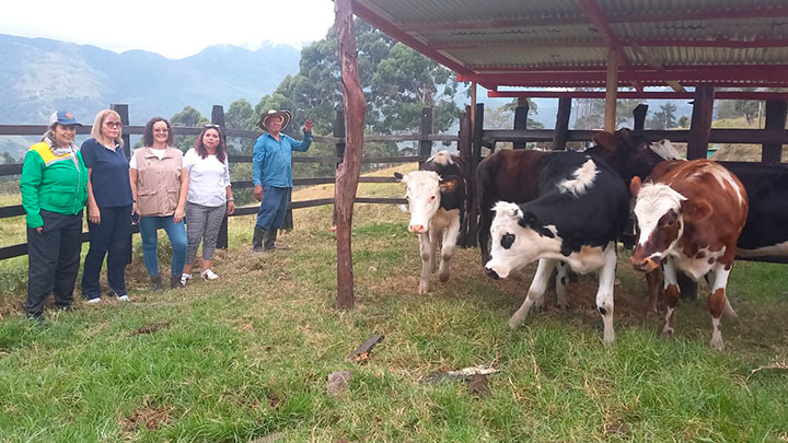restitución de tierras