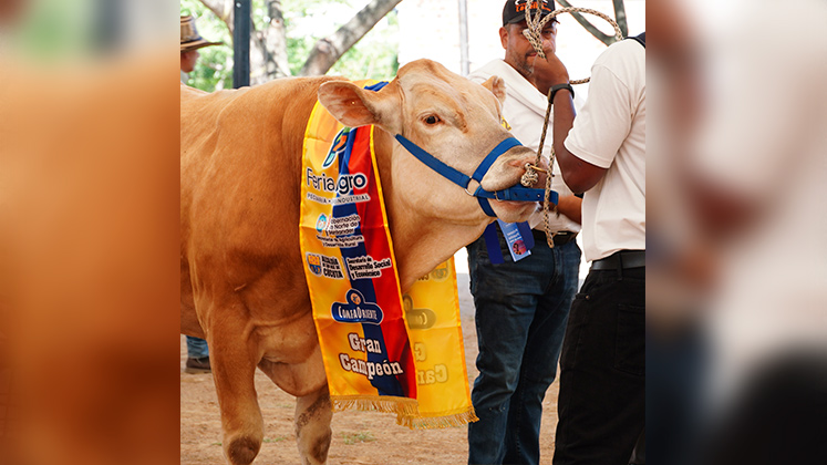 La feria del año pasado dejó resultados satisfactorios. / Foto Archivo