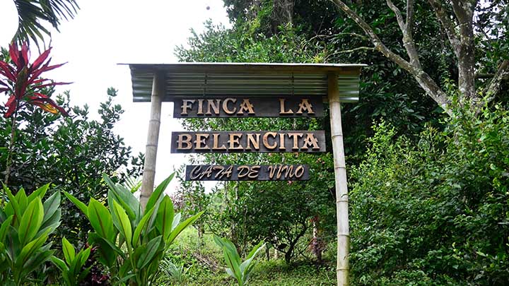 Finca La Belencia. /La Opinión