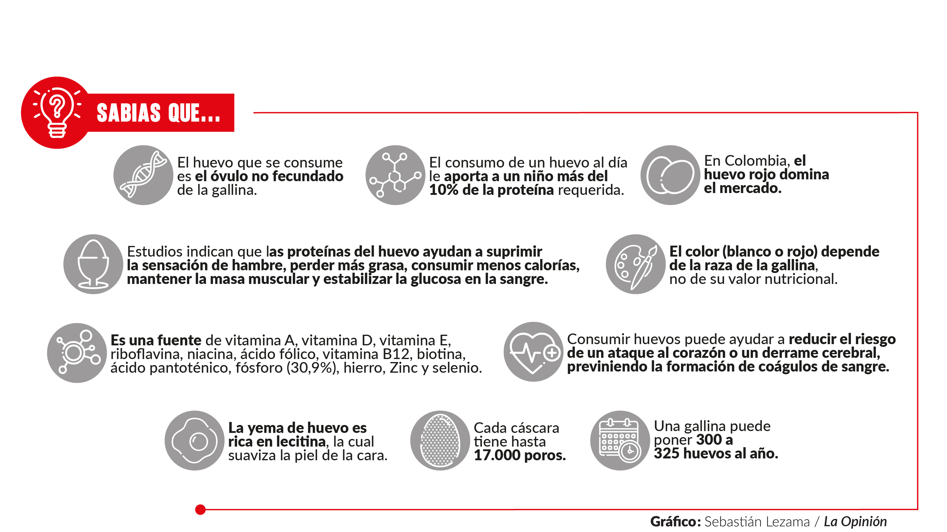 Curiosidades del huevo. Gráfico Sebastián Lezama / La Opinión