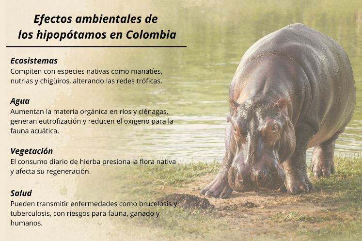 image - 2026-04-18T191143.295.png