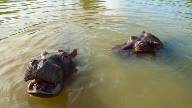 image - 2026-04-18T191319.329.png