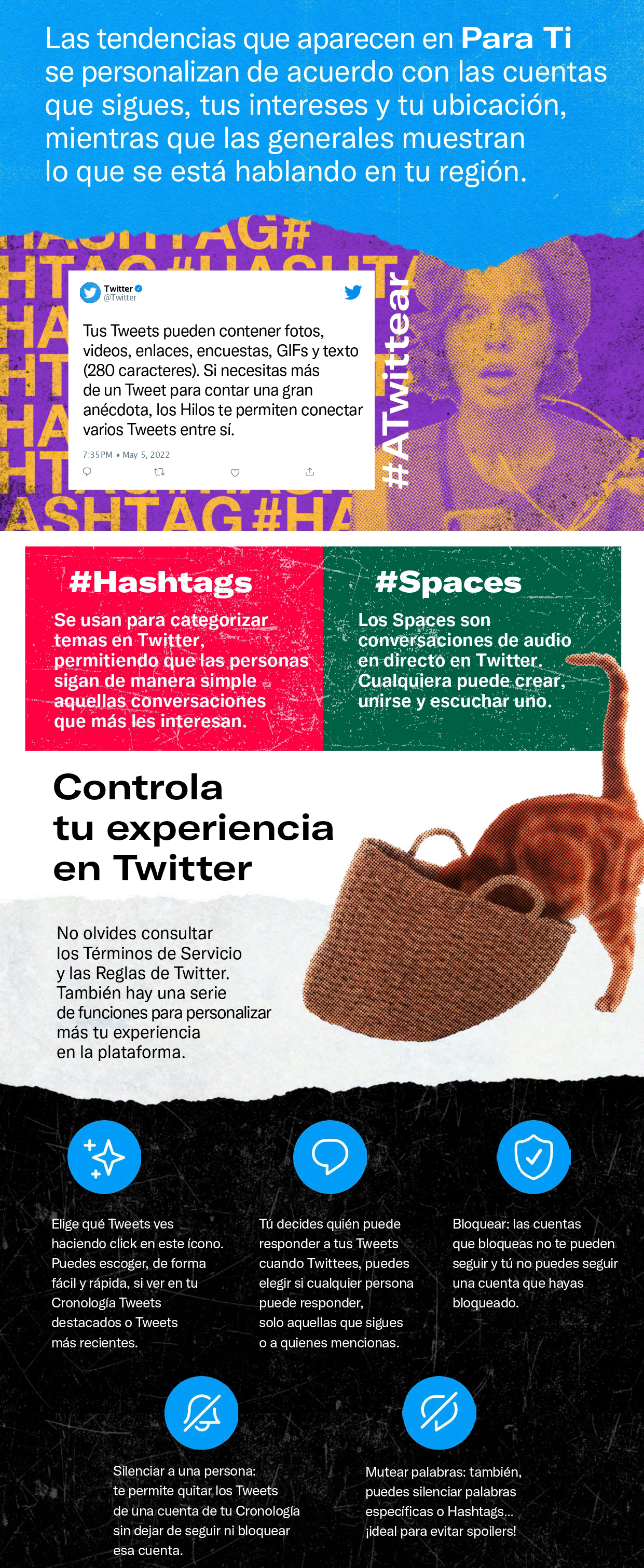 Infografia twitter