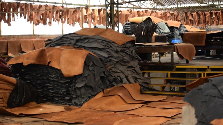 Con la exportación de pieles fue que hicieron el negocio de las exportaciones ficticias.