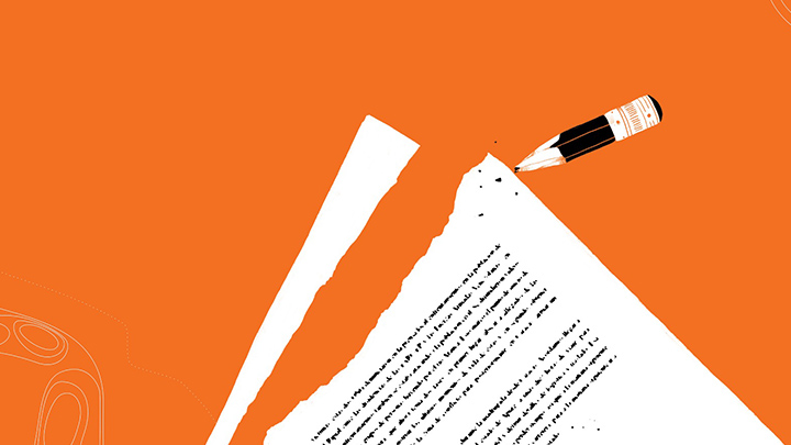 Libro Frontera Común