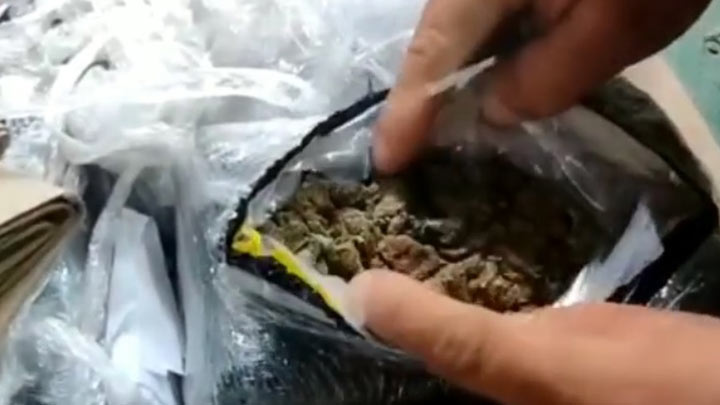 Más de 3.000 dosis de marihuana fueron halladas por caninos de la Policía en Cúcuta./Foto: cortesía