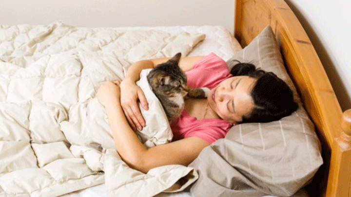 Llegó diciembre, un mes infeliz para su mascota./Foto: Colprensa