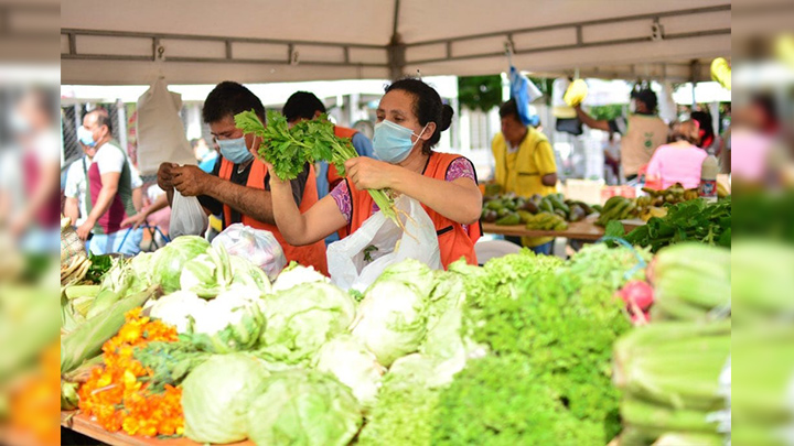 Mercado campesino se tomará este martes la Alejandría ./Foto: cortesía