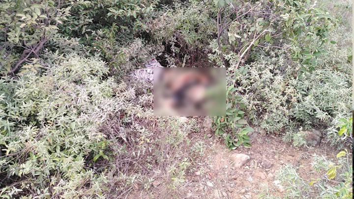 El hombre asesinado recibió cuatro disparos. Tenía un tatuaje con dos pies y el nombre Víctor. 