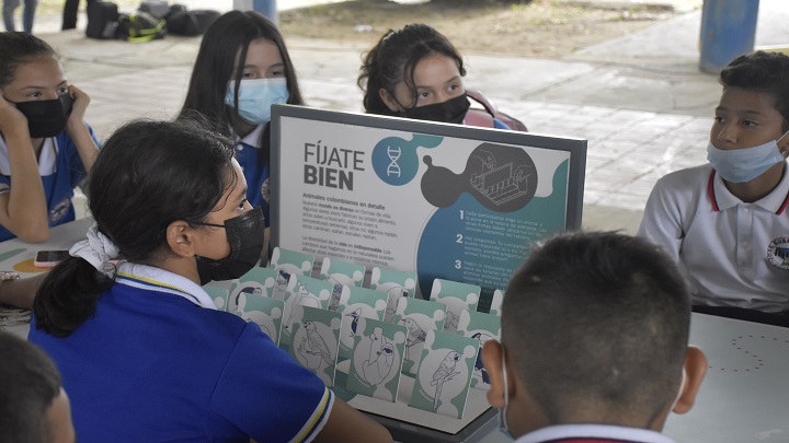 Museo móvil recorrió cuatro colegios de Cúcuta./Foto: Pablo Castillo - La Opinión 