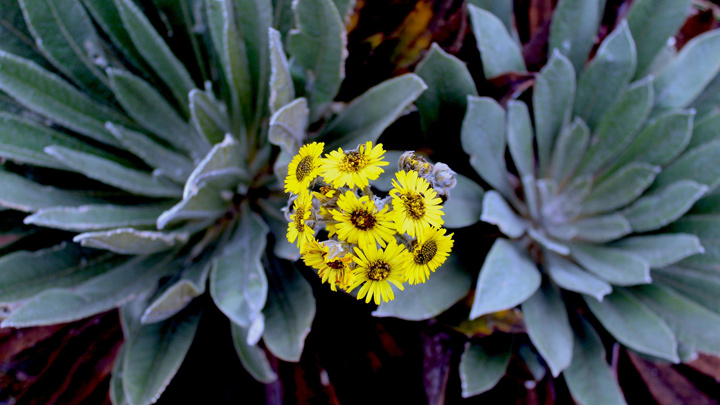 Paramo del Almorzadero./Cortesía. 