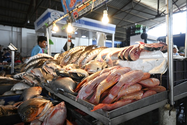 Pescados en Cenabastos