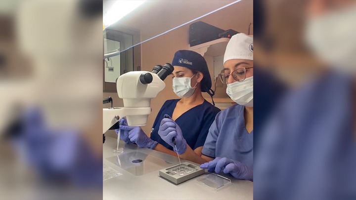 Reproducción asistida para parejas homosexuales.