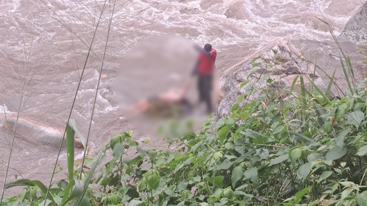 Salazar de las palmas