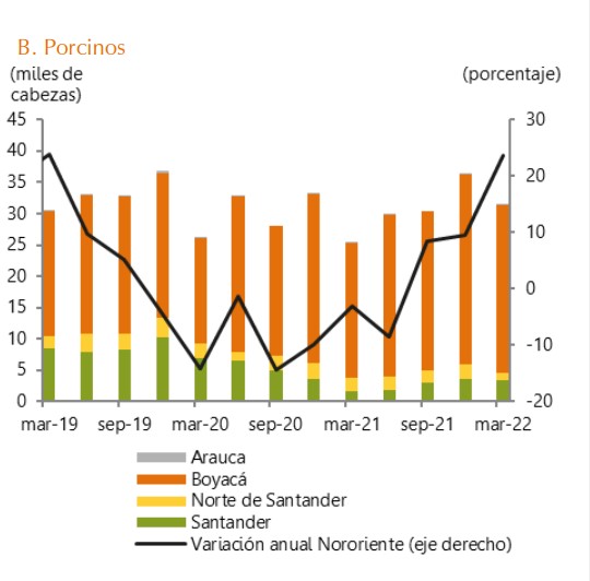 Gráfico sector Porcino