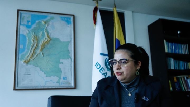 Directora del Ideam