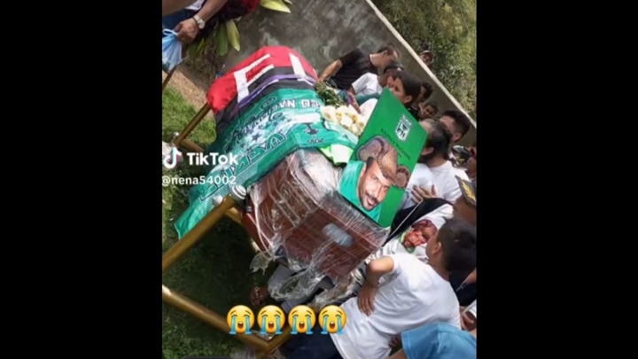 Féretro de Tigre en Teorama