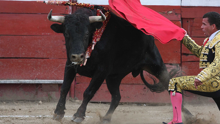 Los años dorados del toreo en Norte de Santander./Foto: archivo